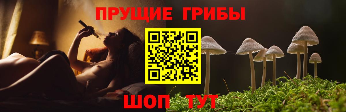 Кизилюрт  Галлюциногенные грибы Cubensis  Вход с VPN 